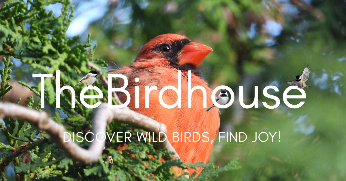 The Birdhouse Nature Store logo