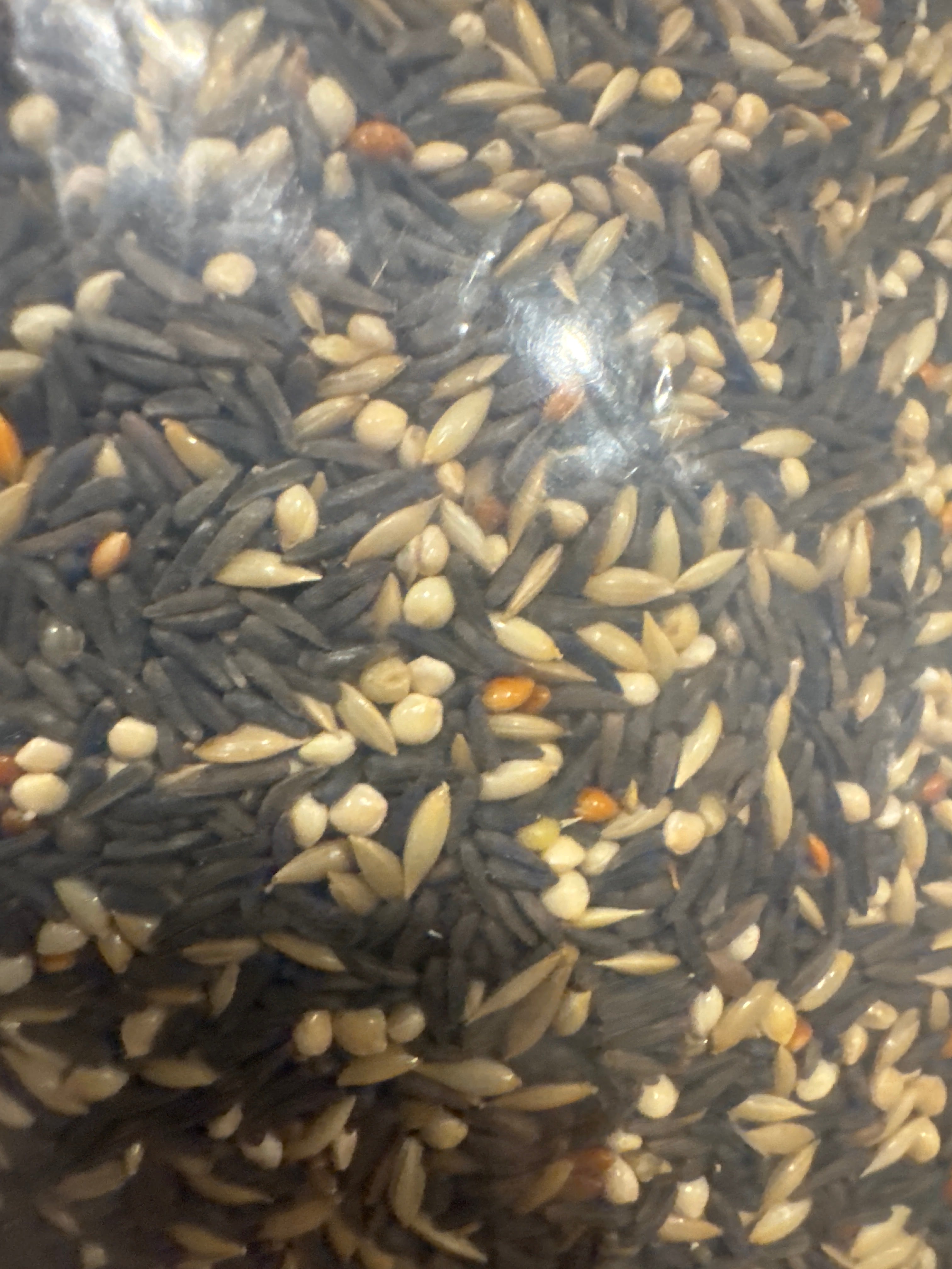 Premium Wild Finch Mix