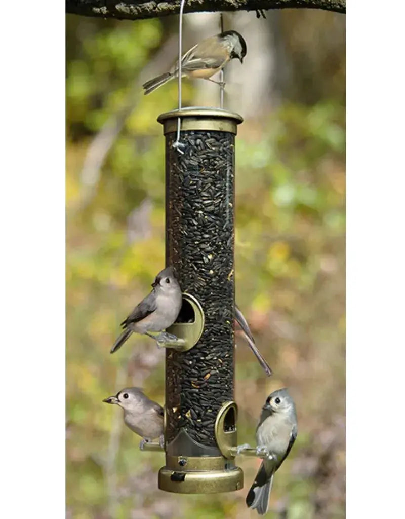 Mixed Seed Med Brass Aspects