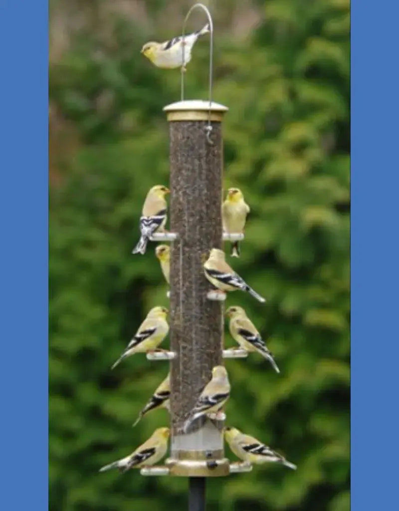 Large Brass Nyjer Feeder*