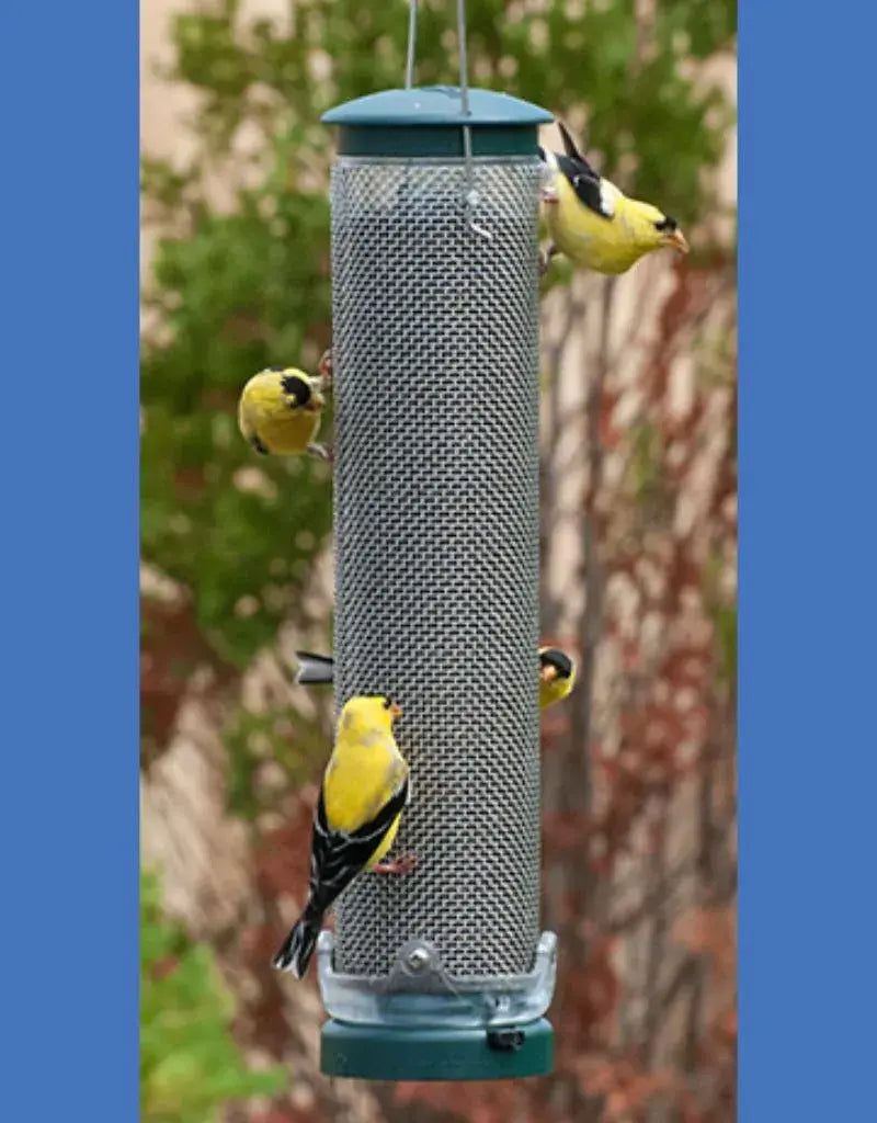 Spruce Nyjer Mesh Feeder-Medium