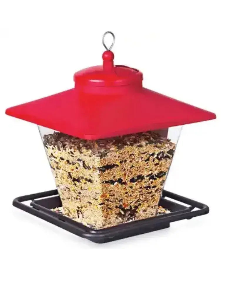 Hopper Cafe Seed Feeder, Holds 7lbs - final