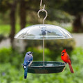 Dome Top Feeder