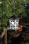 Star Bin Feeder