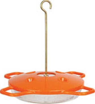 Oriole Saucer
