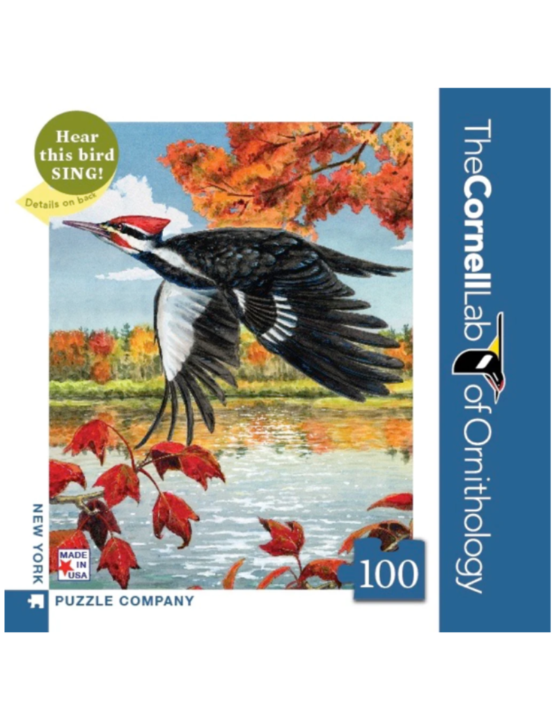 New York Puzzle Company Mini 100pc