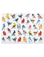 Placemats - Birds