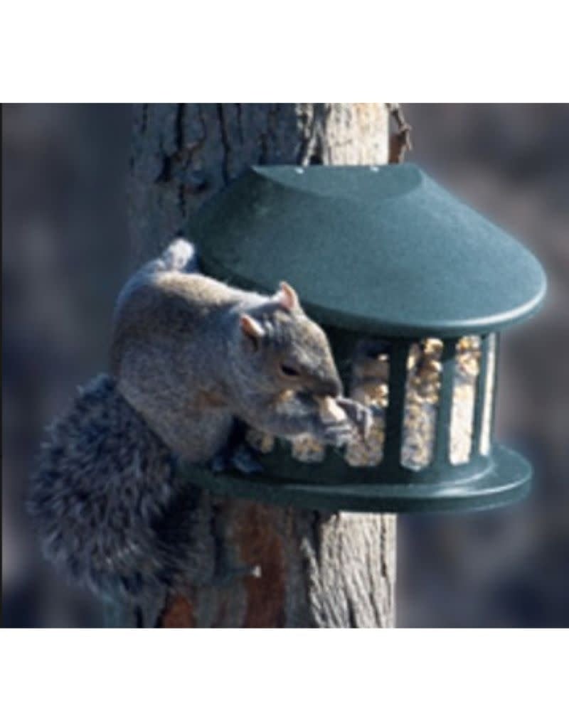 Metal Squirrel Feeder