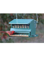 Green Absolute Squirrelproof Fdr with 60” pole kit and hanger
