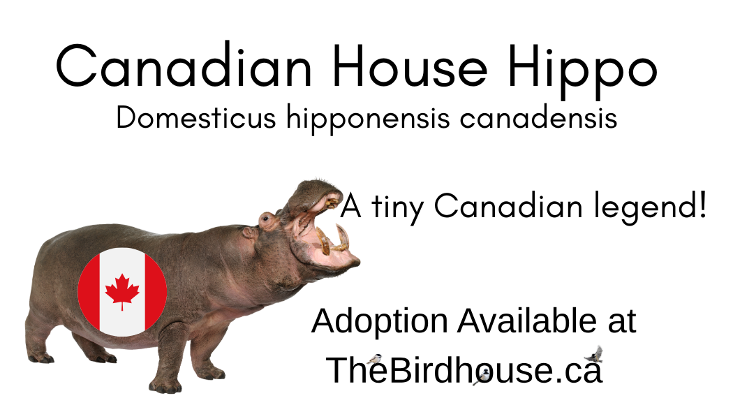 Handcrafted Medium Metal “Canadian House Hippo” Sculpture