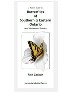 Pocket guide to butterflies. Printed in Canada.