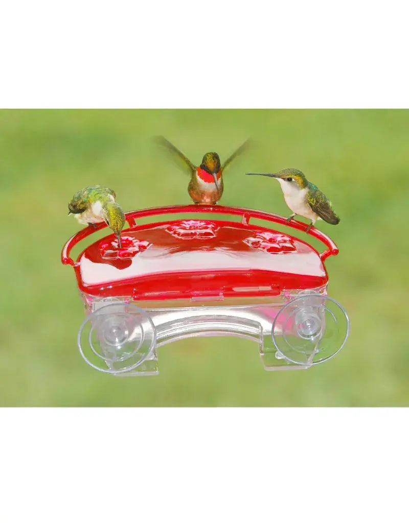 Aspects Jewel Window Hummingbird Feeder with Ant Moat