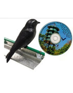 Dawn Song CD for Attracting Purple Martins - last one!