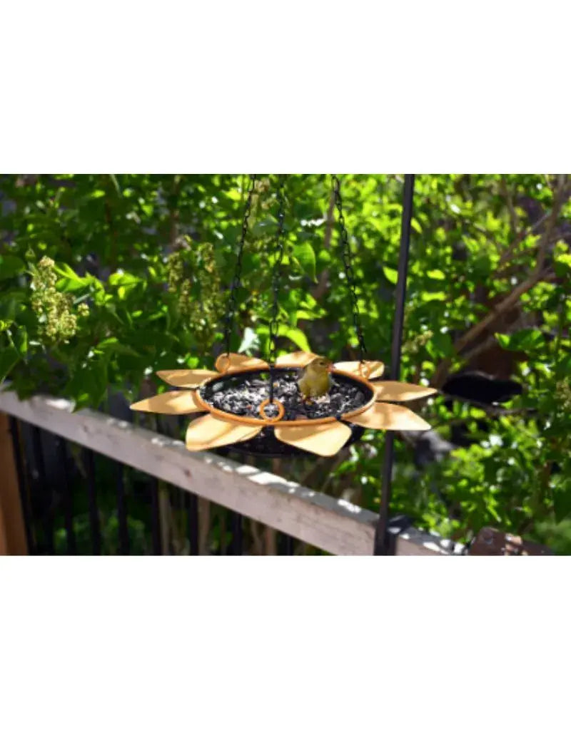 Sunflower Tray Feeder