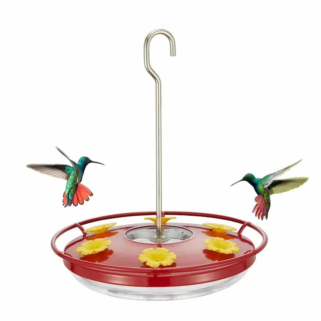 Saucer Style Hummingbird Feeder