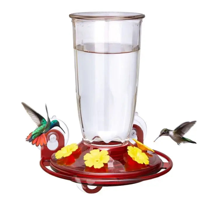 Window Hummingbird Feeder with 4 ports