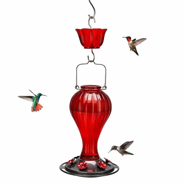 Red glass bulb style hummingbird feeder