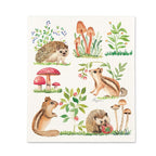 Swedish Dishcloths Assorted