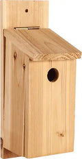 DIY Wood Birdhouse Kit