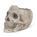 Lg Skull Planter 5"h