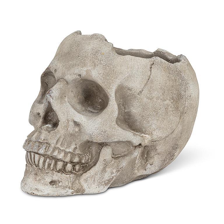 Lg Skull Planter 5"h