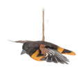Flying Oriole Ornament-6"W