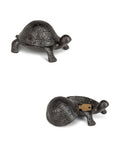Lg Turtle Key Keeper-Brn-4.5"L