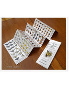 Pocket guide to butterflies. Printed in Canada.