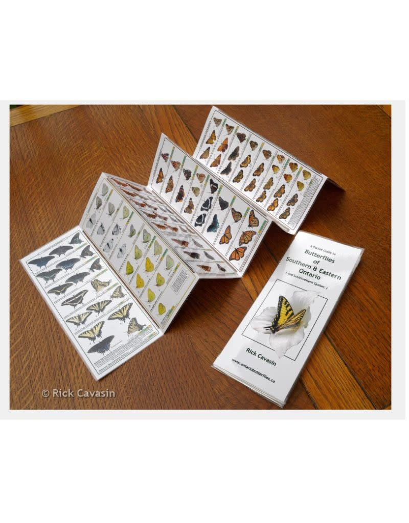 Pocket guide to butterflies. Printed in Canada.