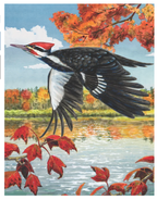New York Puzzle Company Mini 100pc