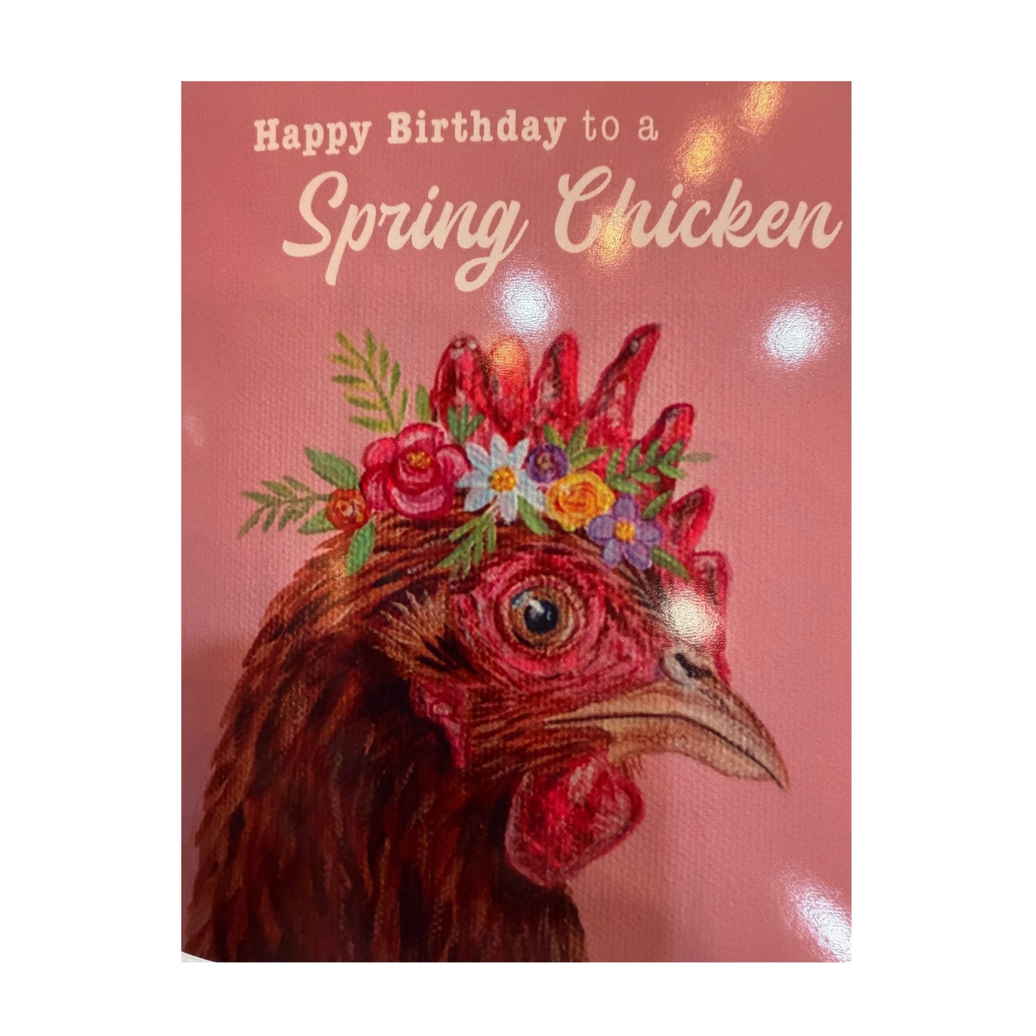 Alicia Galambos Asst Greeting Cards