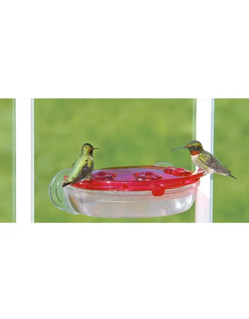 Aspects Jewel Window Hummingbird Feeder with Ant Moat