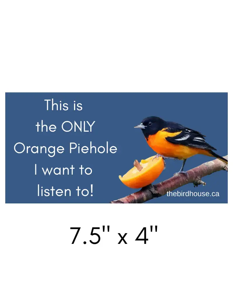 Birdhouse Bumper Stickers