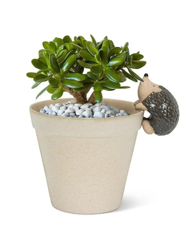 Climbing Hedgehog Pot Hanger-3.5"L