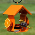 Metal Jelly and Orange Oriole Feeder*