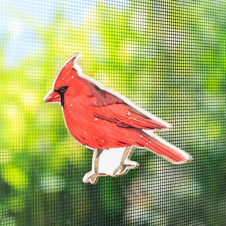 Two Sided Screen Door Magnet