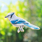 Two Sided Screen Door Magnet