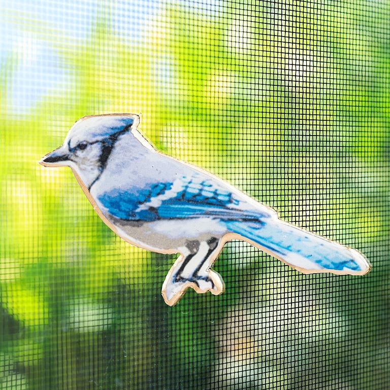 Two Sided Screen Door Magnet