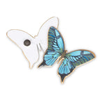 Metal Butterfly Screensaver, 2"