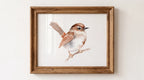 Beautiful Birds Watercolor Workbook By Willow Wolfe