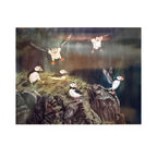Alicia Galambos Asst Greeting Cards