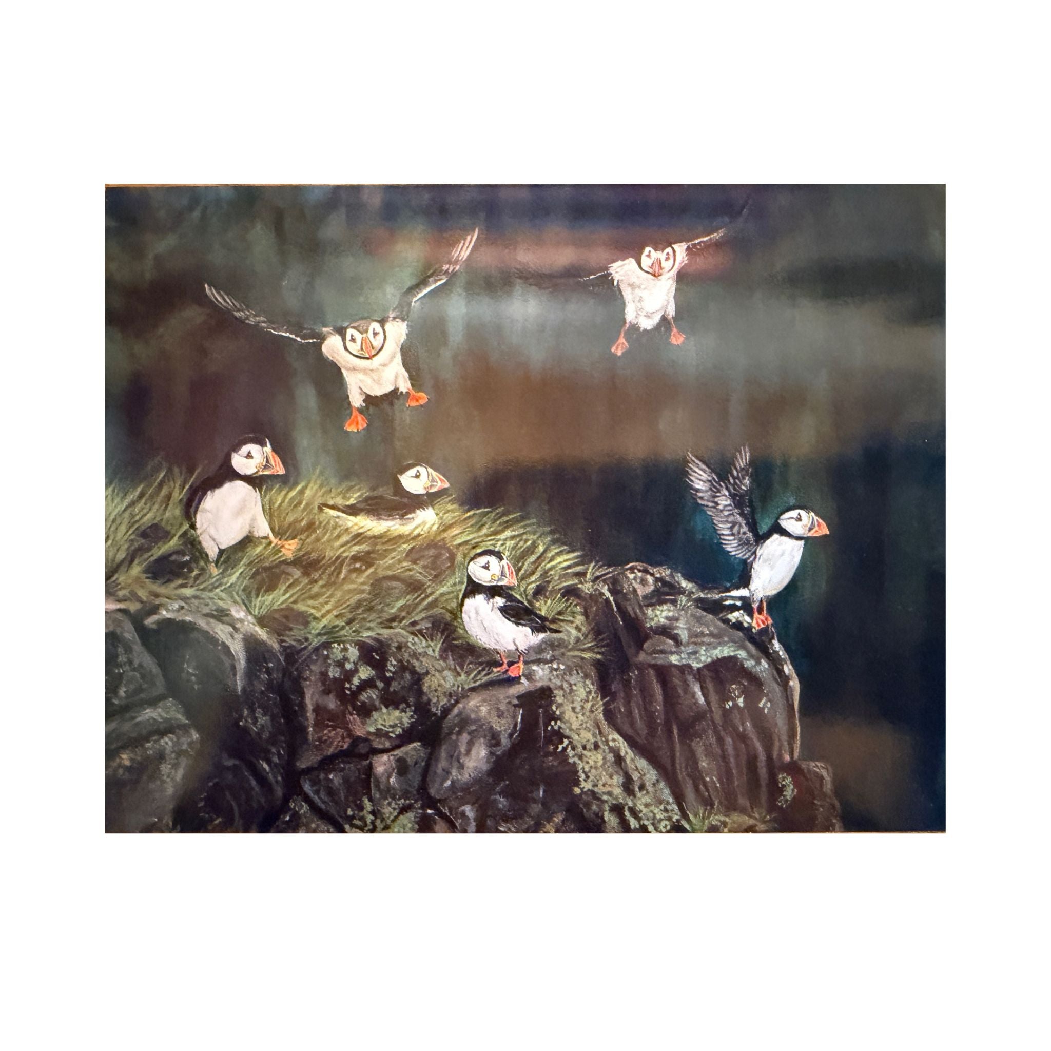 Alicia Galambos Asst Greeting Cards