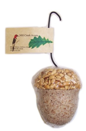 Suet & Nut In shape of an Acorn.