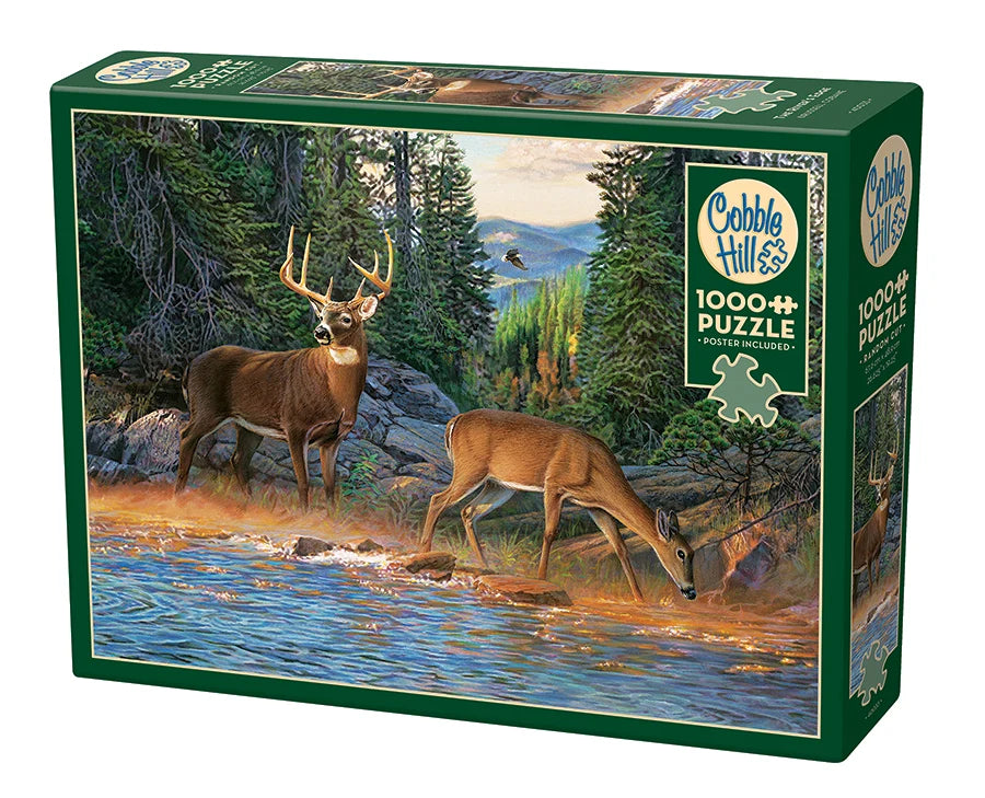 Cobble Hill 1000pc Puzzles