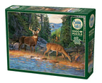 Cobble Hill 1000pc Puzzles