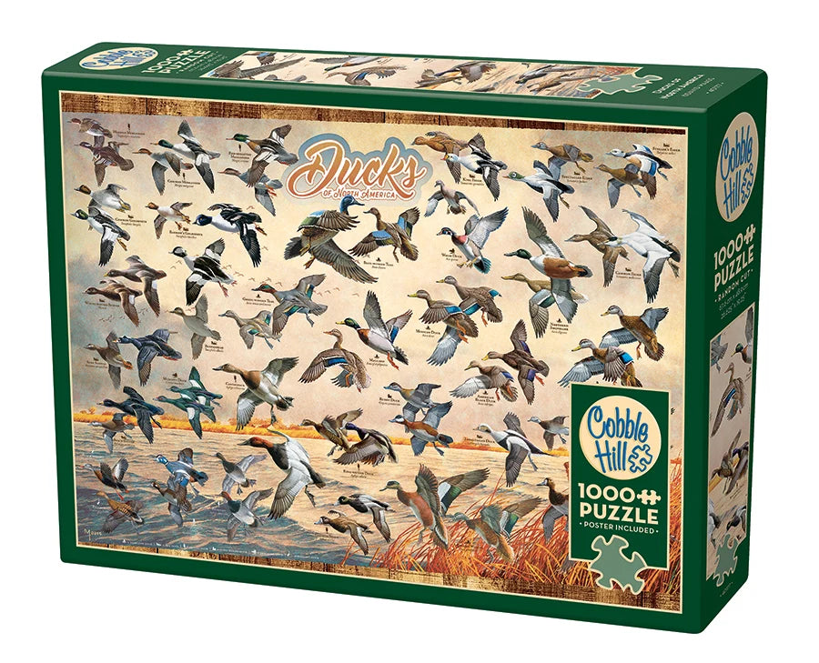 Cobble Hill 1000pc Puzzles