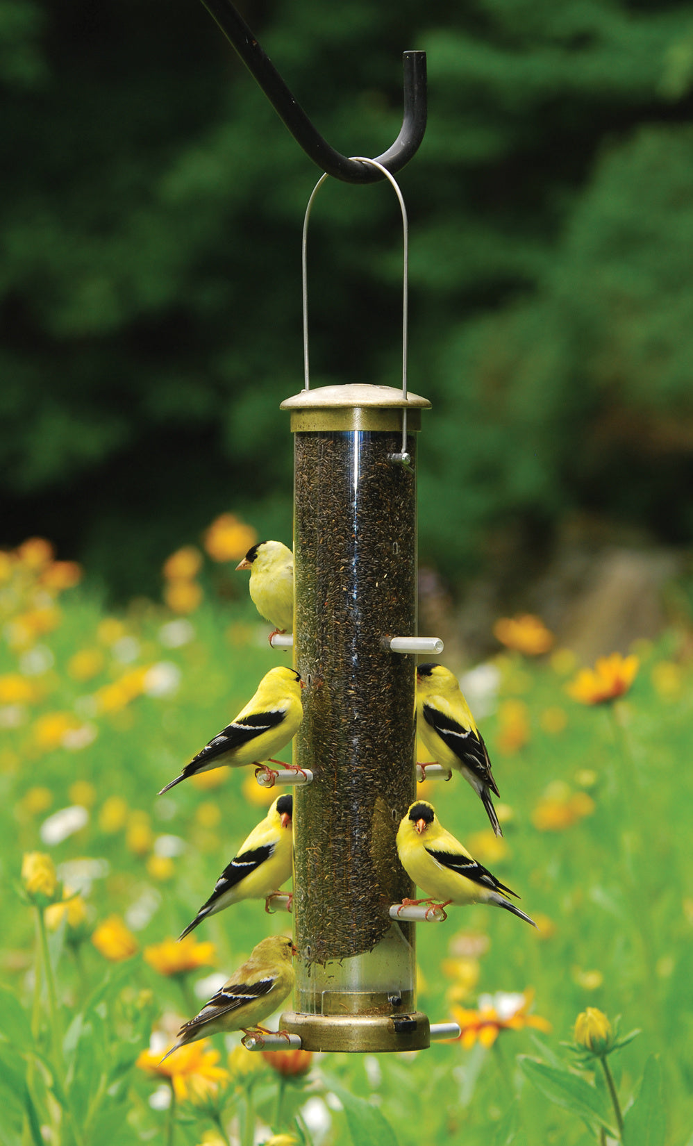 Nyjer Feeder Brass - Medium