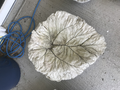 SMALL RHUBARB BIRDBATH CEMENT
