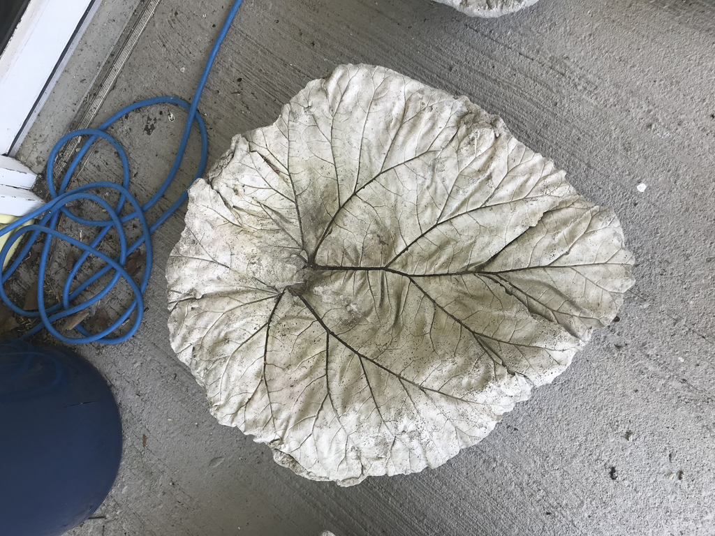 SMALL RHUBARB BIRDBATH CEMENT