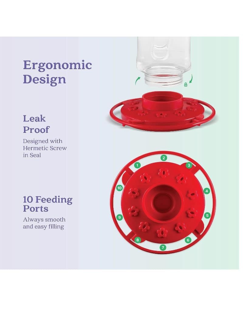 32oz First Nature Hummingbird Feeder